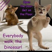 Everybody Walk the Dinosaur