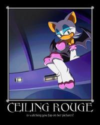 Ceiling Cat