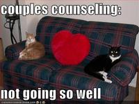 LOLcats