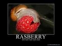 Om Nom Nom Nom