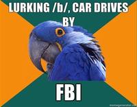 Paranoid Parrot