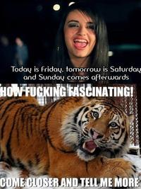 Rebecca Black - Friday
