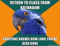 Paranoid Parrot
