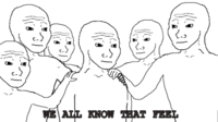 I Know That Feel Bro