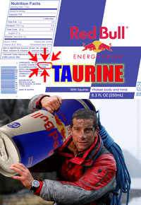 Bear Grylls / Better Drink My Own Piss