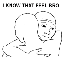 I Know That Feel Bro