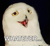 O RLY?