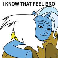 I Know That Feel Bro