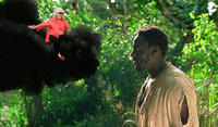 Paula Deen Riding Things