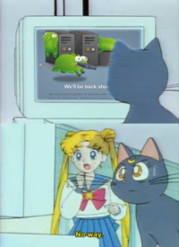 The Tumbeasts