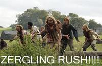 Zerg Rush