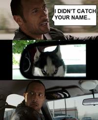 The Rock Driving