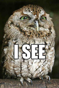 O RLY?