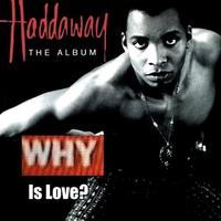 Tony Kornheiser's "Why"