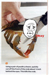 Sad Crab / This Kills The Crab