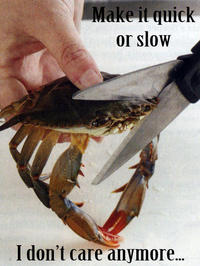 Killcrab