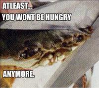 Sad Crab / This Kills The Crab