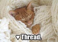 Iheartthisthread