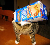 Nyan Cat / Pop Tart Cat