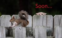 SOON
