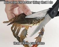 Sad Crab / This Kills The Crab