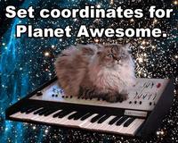 Cat on a Keyboard in Space