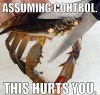 Sad Crab / This Kills The Crab