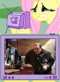 Fluttercry / Characters Watching Tv