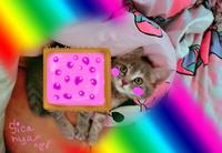 Nyan Cat / Pop Tart Cat