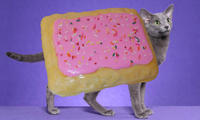 Nyan Cat / Pop Tart Cat