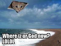 Ceiling Cat