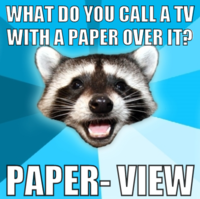 Lame Pun Coon