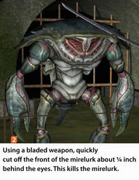 Sad Crab / This Kills The Crab