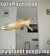 I Must Go