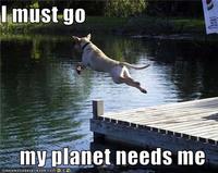 I Must Go