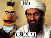 Bert Is Evil!