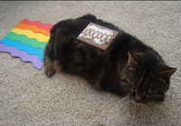Nyan Cat / Pop Tart Cat