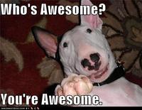 Who's Awesome? You're Awesome! / Sos Groso, Sabelo!