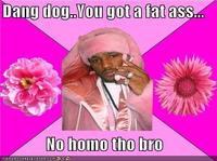 No Homo