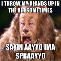 I Throw My Hands Up In The Air Sometimes Saying Ayo