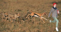 Prancing Cera