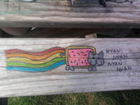 Nyan Cat / Pop Tart Cat