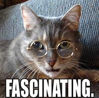 LOLcats