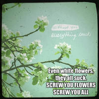 Instagram Quote Rebuttals / Hipster Edits