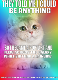 Nyan Cat / Pop Tart Cat