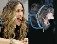 Sarah Jessica Parker Looks Like a Horse