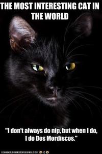 The Most Interesting Cat in the World