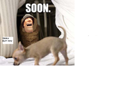 SOON