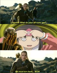 What do your elf eyes see?