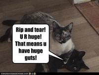 Rip and Tear / Huge Guts!